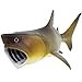 Safari Ltd. Basking Shark Figurine - Detailed 5.75