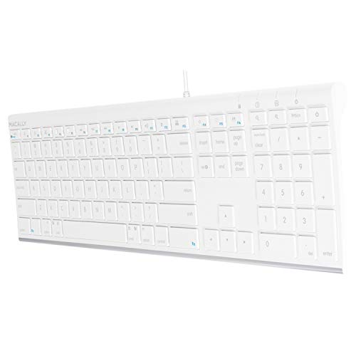 Best Computer Keyboard For Work