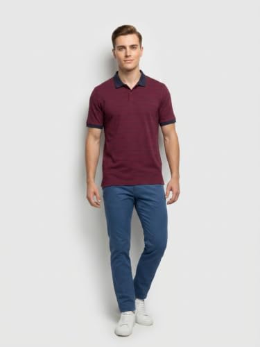 Image of Park Avenue Men Slim Fit Stripe Pattern Pure Cotton Polo Neck Half Sleeve Casual T-Shirt