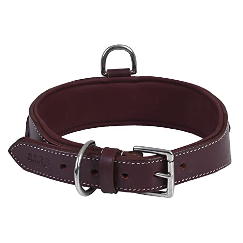 DowgClub, Cherry, XL (Fit Neck Size 22"-26") - Image 3