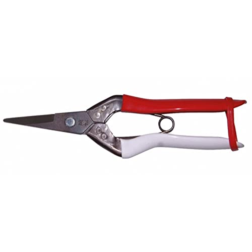 Image of Okatsune Bud Cutting Shears in Box No. 304