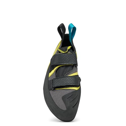 SCARPA Arpia V Rock Climbing Shoes for Gym Bouldering & Sport Climbing3