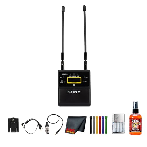 Sony URX-P41D Receptor Inalámbrico de Doble Canal para Cámara con Interfaz OLED y Accesorios miniatura 1