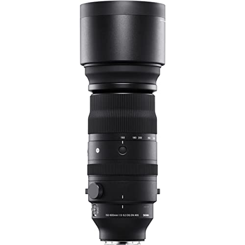 Image of 150-600mm F5 /-6.3 DG DN for Sony E