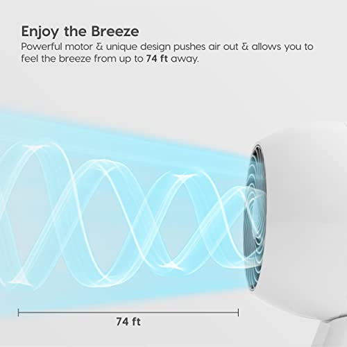 IRIS USA WOOZOO Air Circulator Fan with Remote, Oscillating, 3 Speeds, 74ft Max Air Distance, 112° Adjustable Tilt, 35db Quiet Motor, Small Fan for Bedroom, Office, Dorm, White