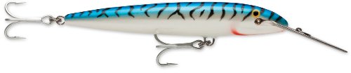 Rapala Countdown Magnum 22 Fishing Lure (Silver Mackerel)