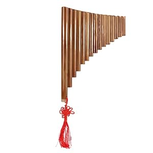 Eujgoov Panflöte 15 Pfeifen Bambus Anfänger