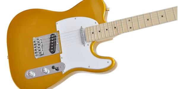 Amazon | PLAYTECH (プレイテック) エレキギター テレキャスタイプ