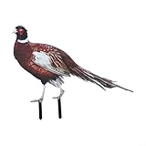 Set of 2 Acrylic Pheasant Garden Stakes for Outdoor Lawn Decoration, Realistic Rooster Yard Ornaments for Garden, Yard or Flowerpot, Weather-Resistant Double-Sided Design(A)