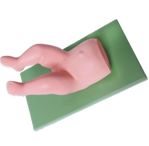 Modèle de réduction de la hanche pour maîtriser le geste pédiatrique