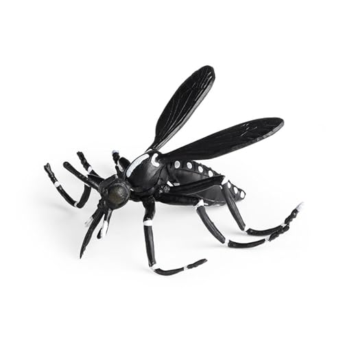 V~[V̂onchidsmantis SpadebeetleV~[Vfz[K[fI[ig