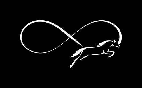 Autocollant en vinyle blanc cheval et infini imperméable contre les UV