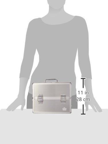 Amazon.com : Caboodles Goddess 4 Tray Train Case, Cosmetic Storage