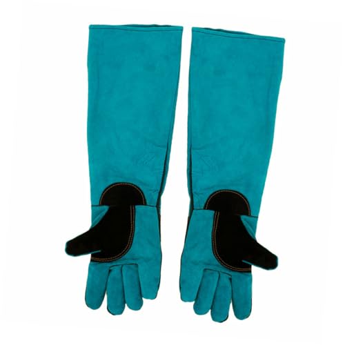 HAPINARY 1  ph  [ p  lX 鑽@ B  ɂΉ 