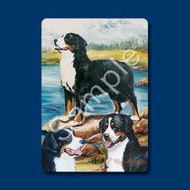 Bernese Mountain Dog Naipes de Póker