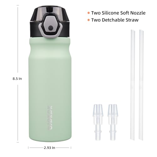 Image of BJPKPK 18 oz Water Bottle with Straw & Handle, Insulated Stainless Flask | Leak Proof Locking Lid, Thermal, Double Wall Vacuum, Keeps Hot /Cold, BPA Free, Dishwasher Safe, Travel & Sports, Sage