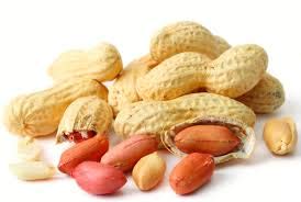 Walnut Creek Foods PEANUTS RAW IN SHELL Bag 3 LB (Great for Boiling)