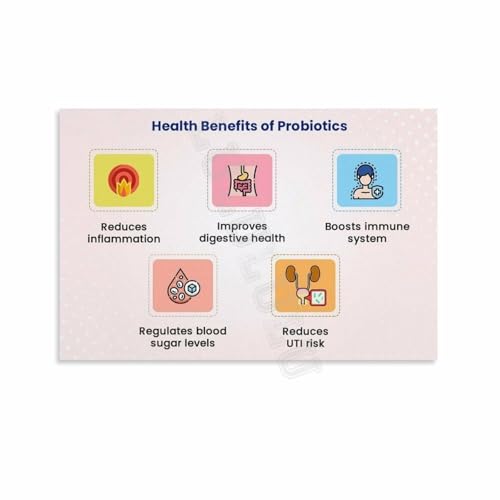 Gut Health and Probiotics Explained Science Infographic Canvas Wall-Art for Home Decor Living Room Bedroom Office(Unframed,08x12