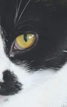 Paperback Notebook Journal: Cat Pistache Book