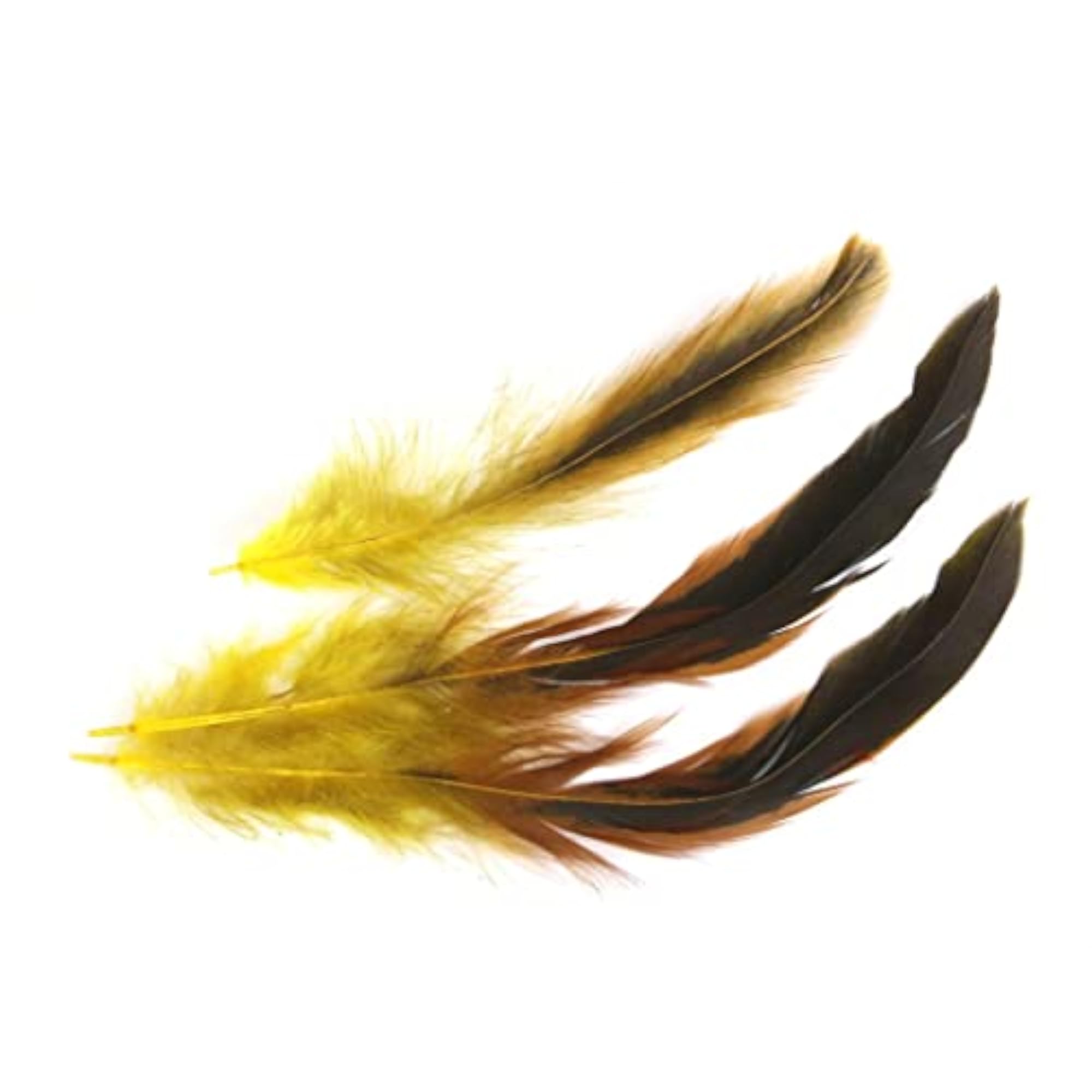 50x Beautiful Rooster Feathers, Yellow