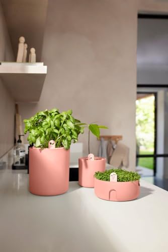 elho Amazing Avocado Pot 12 - Blumentopf für Züchten Und Ernten - 100% recyceltes Plastik - Ø 12.0 x H 12.1 cm - Braun/Toffee Terra