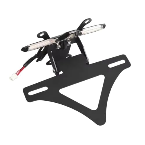 Support de plaque Speed Triple 1200RS pour virées du week-end