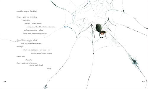 Climbing Shadows: Poems for Children - Image 2