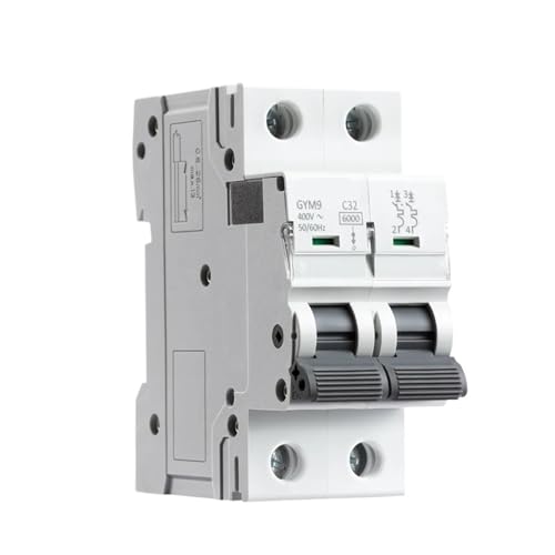 Disyuntor 230V con protección magnetotérmica contra sobrecargas 40A 2