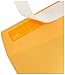 Amazon Basics Catalog Mailing Envelopes, Peel and Seal, 9x12 Inch, Brown Kraft, 250-Pack