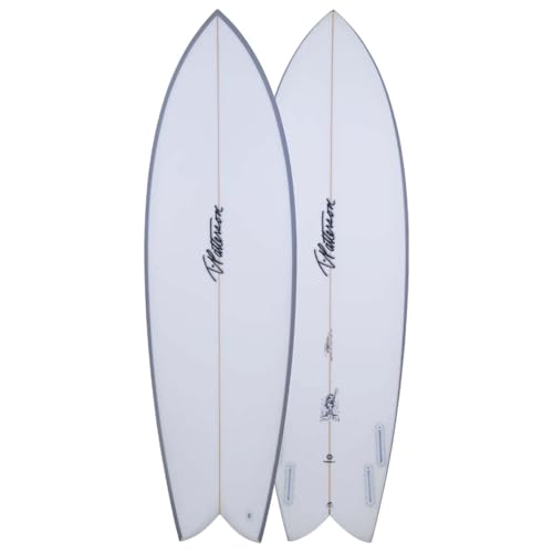 Shore サーフボード　6'2" サーフボード ミッドレングス BIRDOM THE FISH 6`2 : STANDARDSTORE