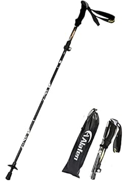 best cheap trekking pole