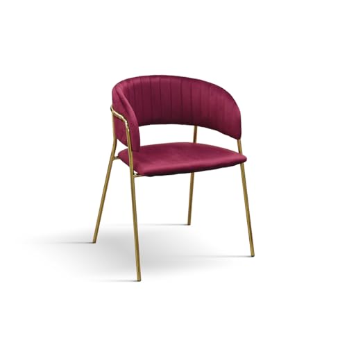 PAZZO DESIGN Chaise Penelope, Ensemble De 2 Chaises, Bordeaux, Velours, Cuisine, Salle À Manger Jambes Métal Or - id_2006