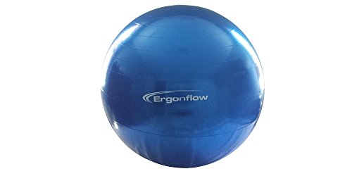 Ergonflow Updated 09/2018 with New Material-Exercise Ball - Yoga Ball - Swiss Ball Anti-Burst Material - Rated for 1200 lbs - Comes with Pump