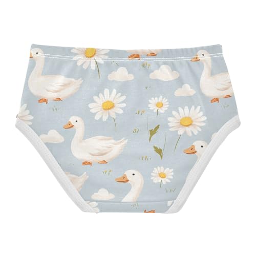 Wusikd Ducks Cloud Girls' Underwear Cotton Daisy Girls Briefs Soft Toddler Underwears 2T2