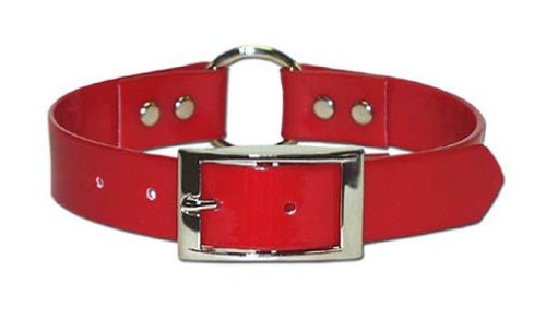 Collier de chien Sunglo bague en centre anti-étranglement et imperméable pour grand chien