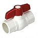 Ball Valve,PVC Body,1-1/4