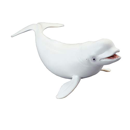 CollectA Sea Life Beluga Whale Toy Figure - Authentic Hand Painted Model