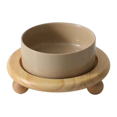 Havniva Raised Cat Bowl 5.1” Elevated Ceramic Cat Food and Water Bowl