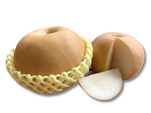 yTAKAOKAFRUITz쌧Y au쐅v ʃTCY3Kg 6-8ʓ