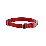 Carhartt Field Dog Collar, Fully Adjustable, Durable 600-Denier Fabric W/Reflective Wordmark for Visibility, Industry Red, Large