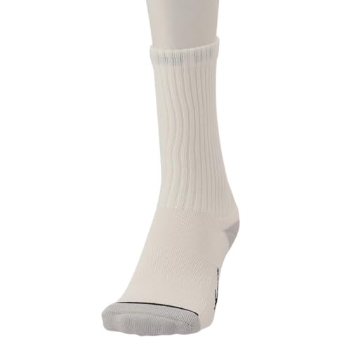 [~Ym] St \bNX hCxN^[ M[ u\bNX C zf E2JXB204 fB[X zCg