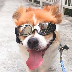 Pedomus Dog Sunglasses Small Dog Goggles Doggles Dog Glasses For Small Dogs Adjustable Band Black #TOP6