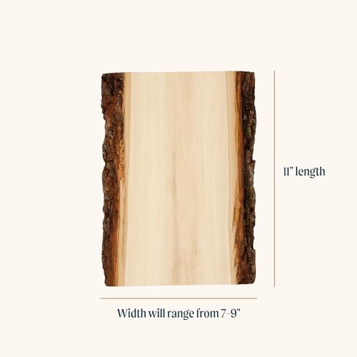 Walnut Hollow Basswood Plank Small with Live Edge Wood (Pack of 12) - for Wood Burning, Home Décor, and Rustic Weddings