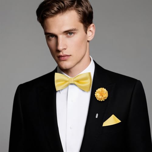 Image of Hi-Tie Bow Ties for Men Pre-Tied Pocket Square with Cufflinks Mens Bowtie Sets for Wedding Formal Party