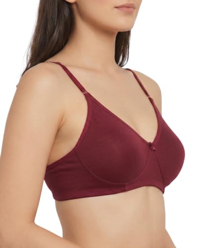 Image of Brida Monica Women's Wide Strap Bra - Soft Hosiery Cotton, Non-Padded, Wireless, Seamless Full Coverage T-Shirt Bra