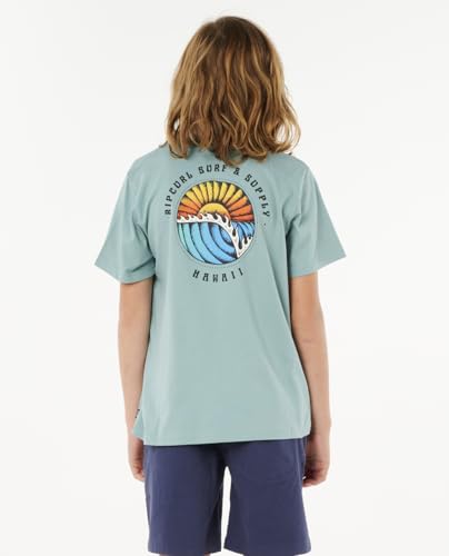 Rip Curl Boys' Standard Fit Short Sleeve T-Shirt2