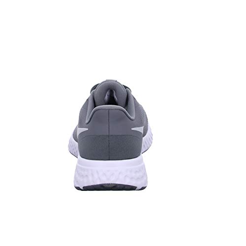 Image of Nike Mens Revolution 5 (4e) Running Shoe