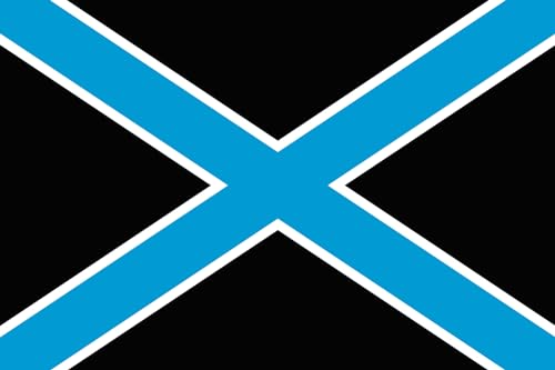 Drapeau Dvinaland project grand modèle double couture facile à suspendre