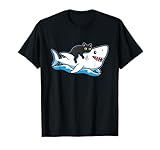 Shark Cat Adventure