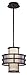 Troy F2734 Discus Contemporary Graphite 10 Inch Tall Ceiling Light Pendant